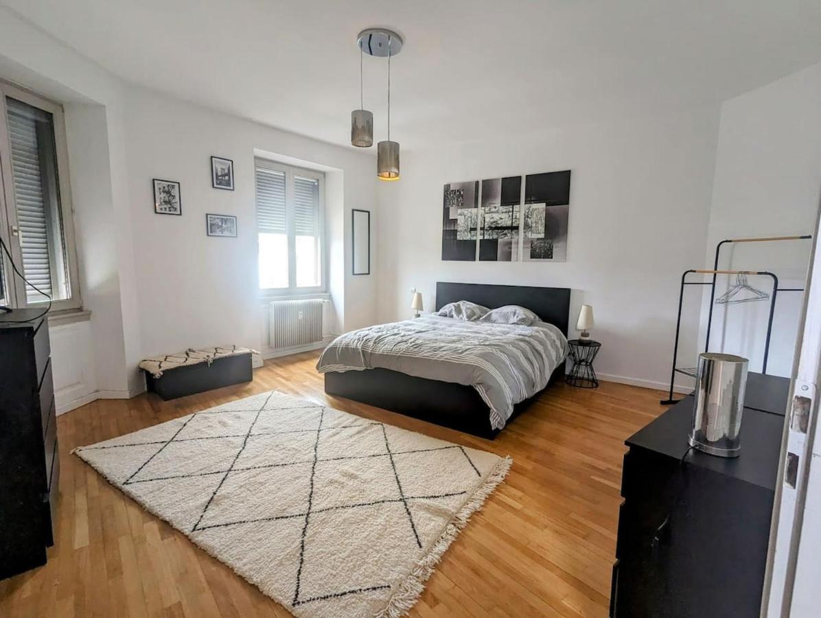 Citycosy-strasbourg Boheme Gare Appartement Straatsburg